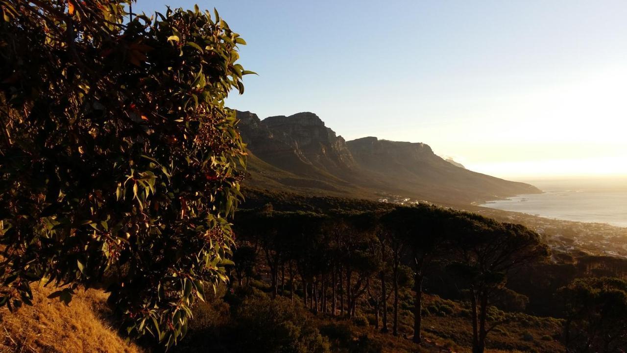 ケープタウン Luxury Modern House Western Cape Fish Hoekヴィラ エクステリア 写真