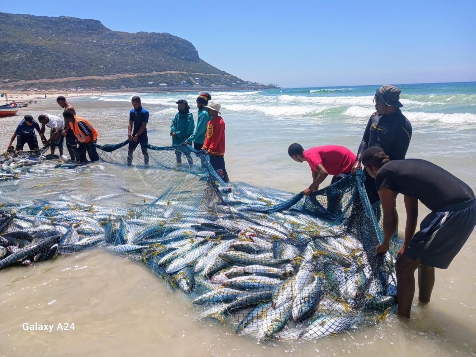 ケープタウン Luxury Modern House Western Cape Fish Hoekヴィラ エクステリア 写真